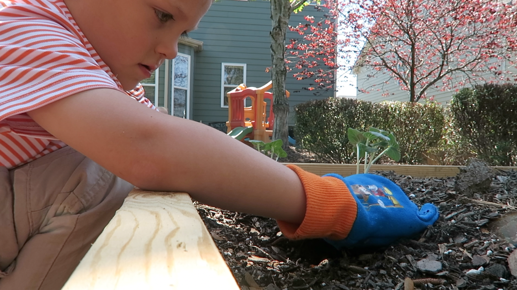 How to start an EASY Vegetable Garden!