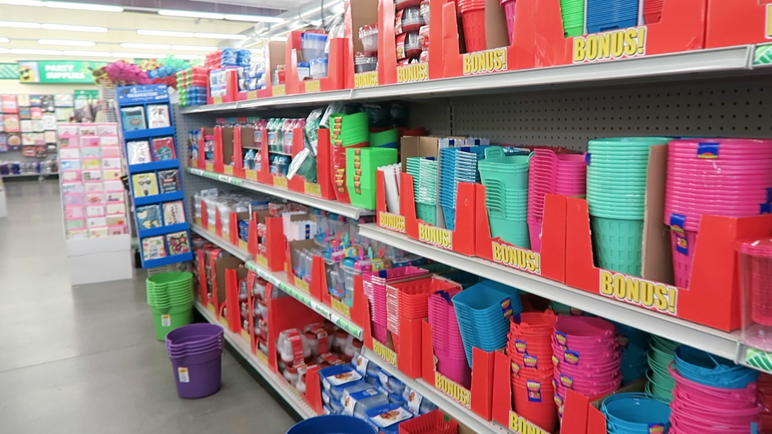 Come to Dollar Tree with me (tons of new products!)