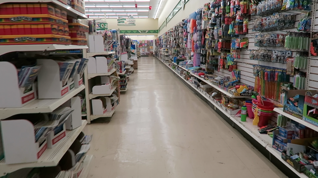Dollar Tree JACKPOT!  (huge shopping vlog!)