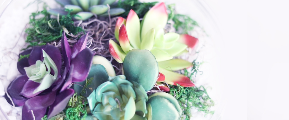DOLLAR TREE Crate & Barrel DIY Dupes | Succulent Terrariums & Bowls