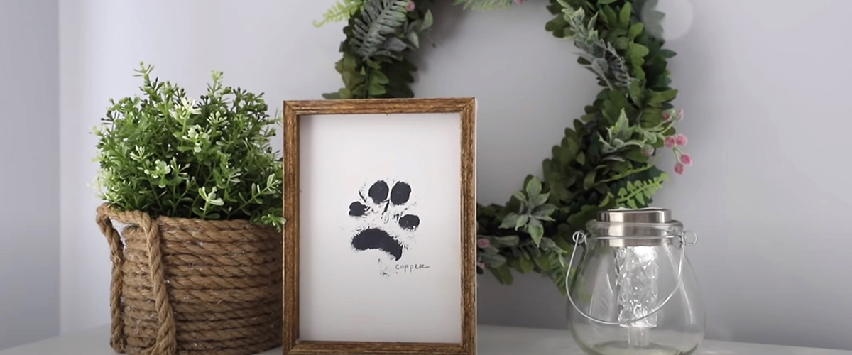 $1 DOLLAR TREE HOME DECOR HACKS  | my favorites that are actually simple!