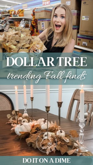 DIOAD- Dollar Tree Trending Fall Finds