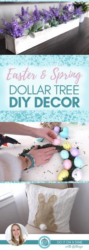 DIOAD- I Cleaned Up At Dollar Tree Pinterest Image