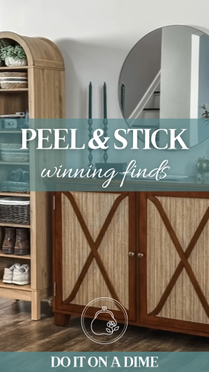 DIOAD- Peel and Stick Winning Finds